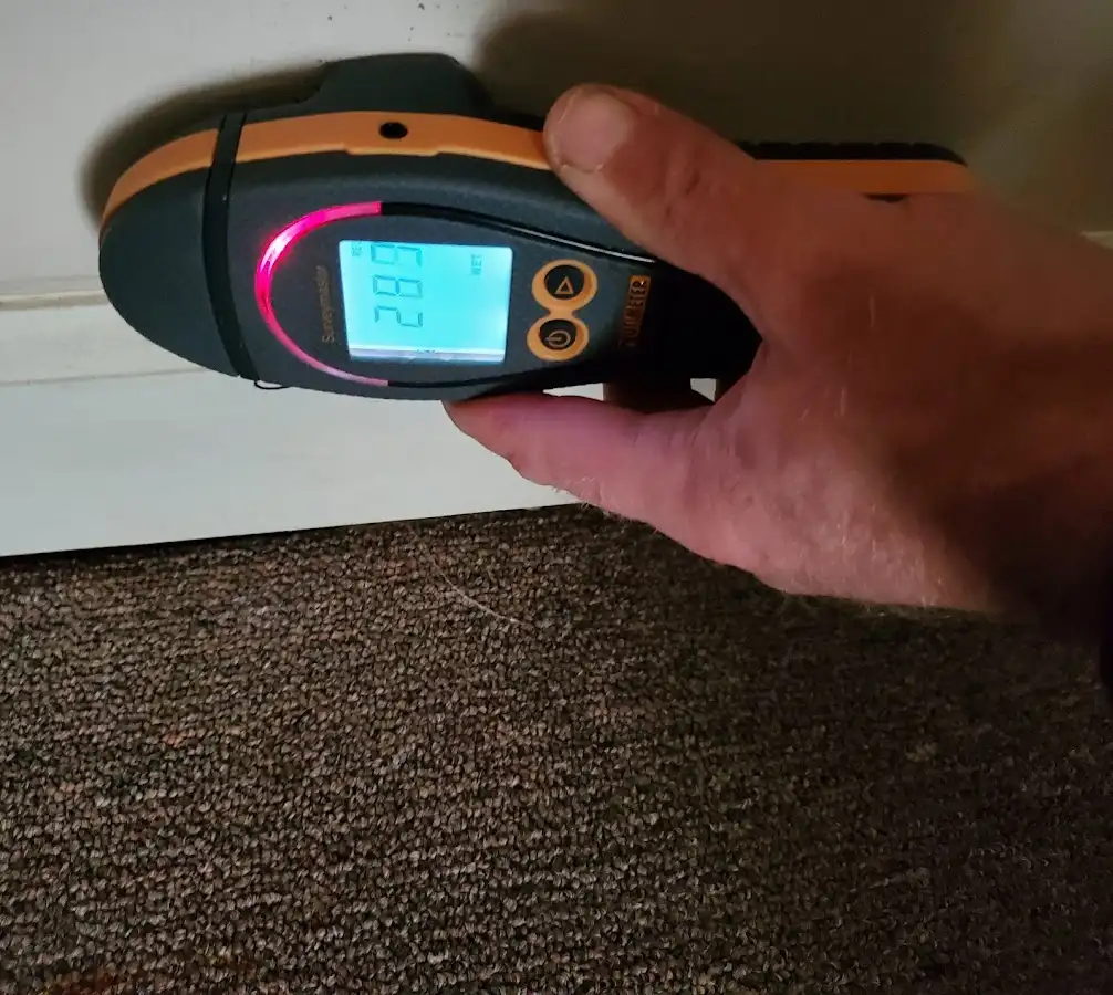 Moisture detection at baseboard during Storm Damage Restoration in Canyon Lake